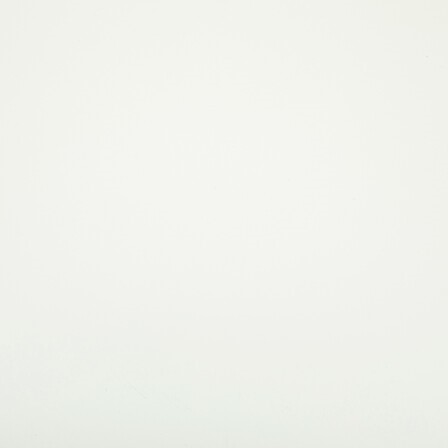 Stolik Kawowy HAJA 100x50cm Biały