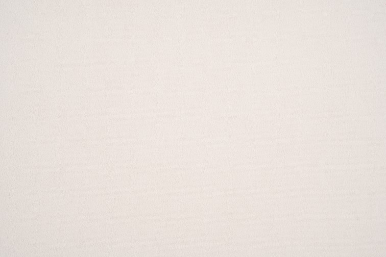 Tkanina Dream Velvet 202.02 Ecru