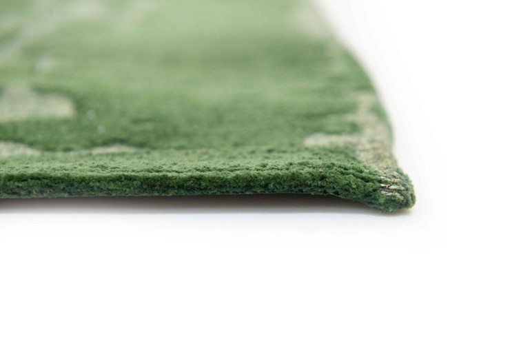 Dywan BAOBAB Perrier's Green 9202 240x340 cm