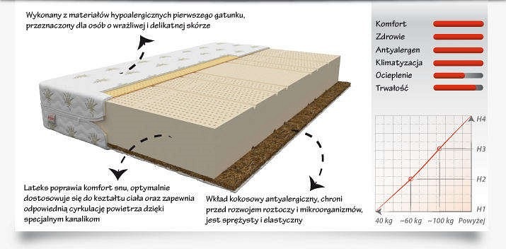 Materac TORO MAX 80x200