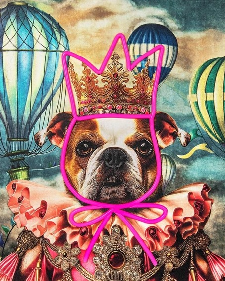 Obraz NEON BULLDOG BALOON  80x100cm