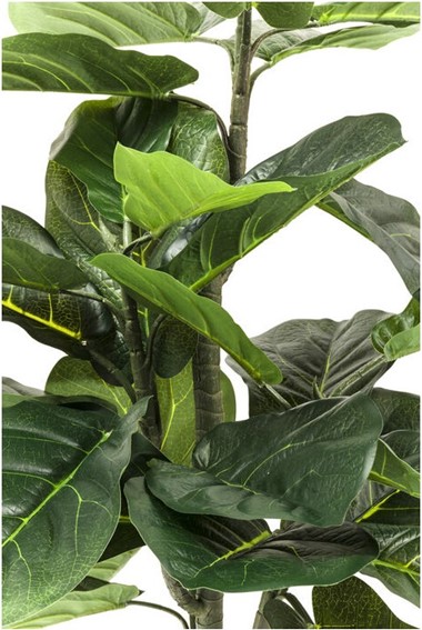 Roślina Dekoracyjna FIDDLE LEAF 120 cm
