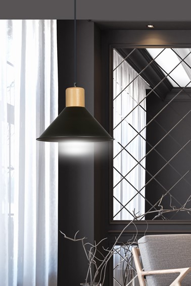 Lampa Sufitowa ROWEN 1 Czarny