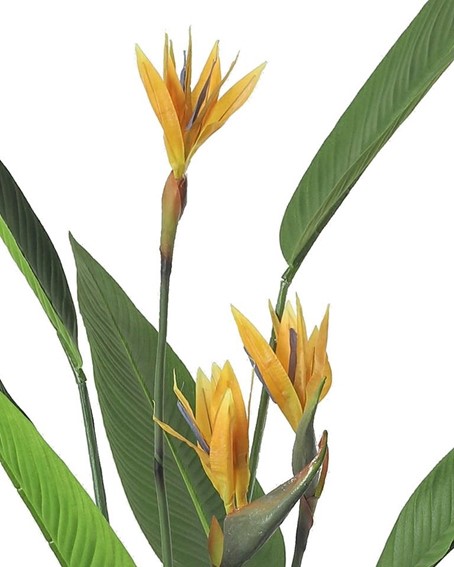 Roślina Dekoracyjna PARADISE FLOWERS 190 cm