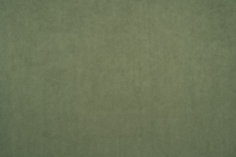 Tkanina Dream Velvet 202.33 Pistacjowy