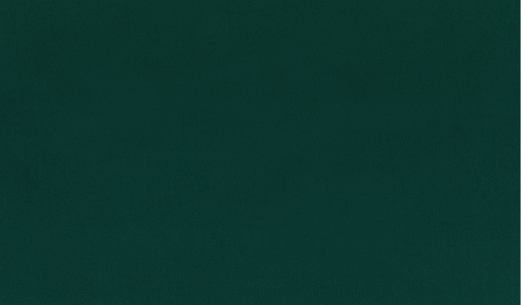 Tkanina Charles Greenness 40 Zielony