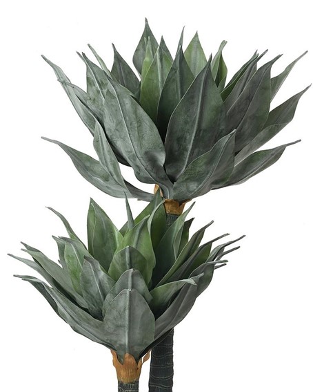 Roślina Dekoracyjna AGAVE 120 cm