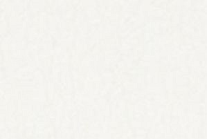 Tkanina Florencja 2521