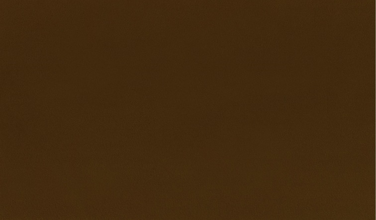 Tkanina Charles Caramel 16 Brązowy