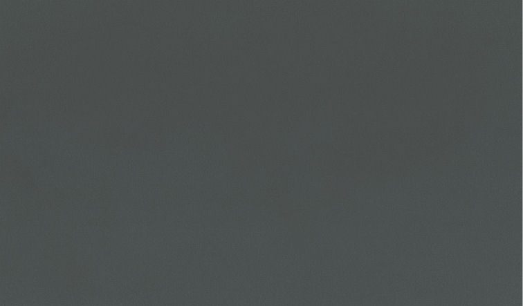 Tkanina Charles Castor 03 Szary