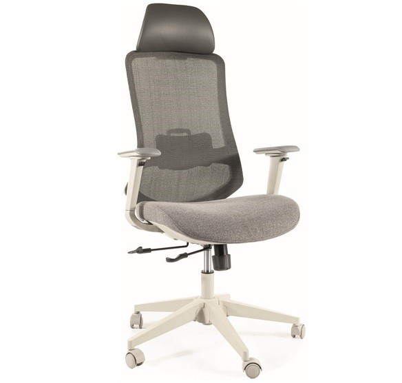 Fotel Obrotowy ERGON Szary
