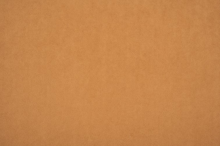 Tkanina Dream Velvet 202.40 Rudy