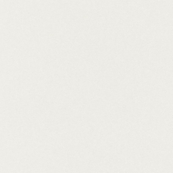 Tkanina NIGHTFALL SUNDOWN 07 Beżowy (mb)