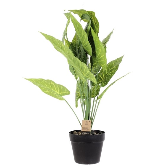 Roślina Sztuczna ALOCASIA 55cm Zielony