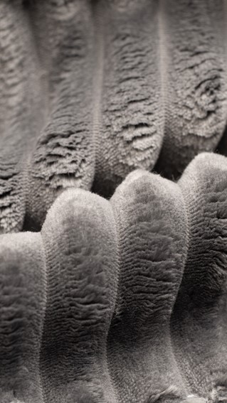 Tkanina VELO 13 Ciemny Szary (1mb)