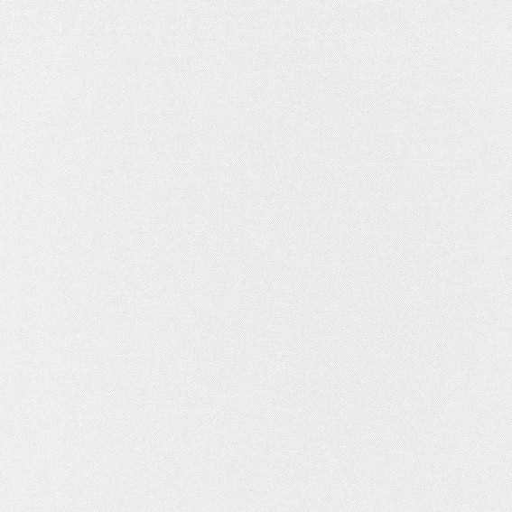 Tkanina LINCOLN FR 01 280cm Szary (mb)