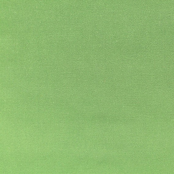 Tkanina VELLUTI 307 Zielony (mb)