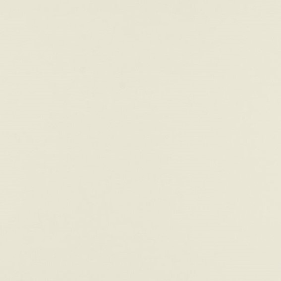 Tkanina BASIC GLAZE 03 Beżowy (mb)