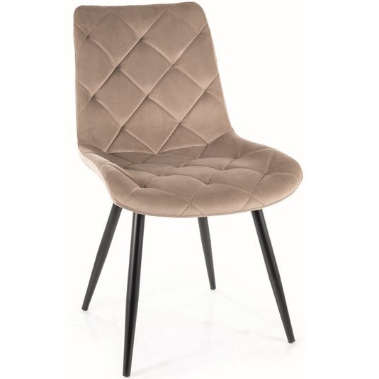 Krzesło RALPH Velvet Czarny/Beż Bluvel 40