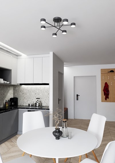 Lampa Sufitowa HALO 6 Czarny