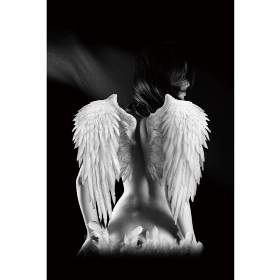 Obraz ANGEL 80x120 Czarny/Biały