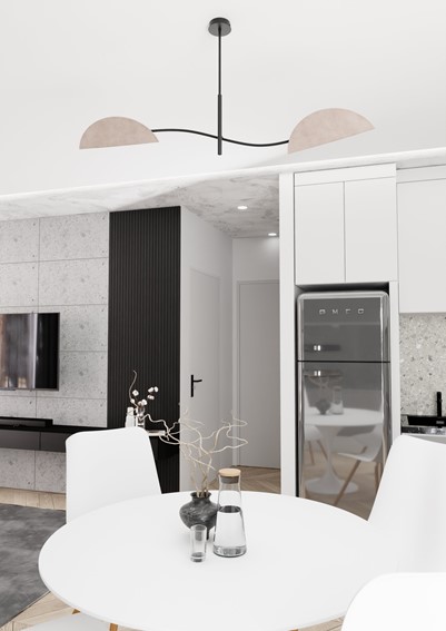 Lampa Sufitowa LOTUS 2 Czarny/Szary