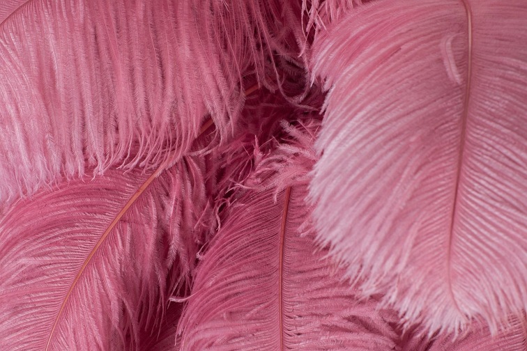 Lampa Wisząca Tiffany 135 Różowy/Naturalne Pióra