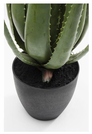 Roślina Dekoracyjna ALOE 69 cm