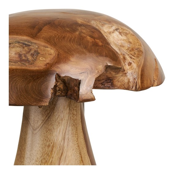 Dekoracja Ogrodowa MUSHROOMS Naturalny