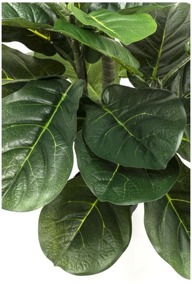 Roślina Dekoracyjna FIDDLE LEAF 120 cm