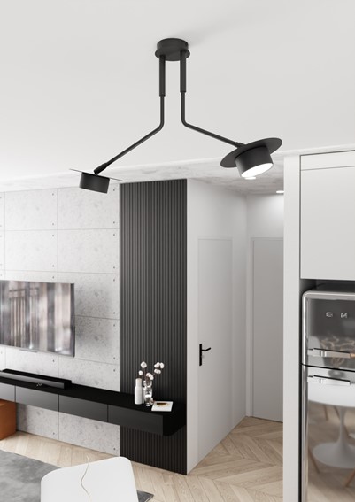 Lampa Sufitowa MIZU 2 Czarny