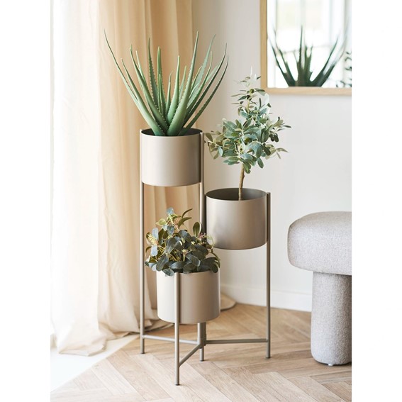 Sztuczna Roślina PEPEROMIA 35cm Zielony