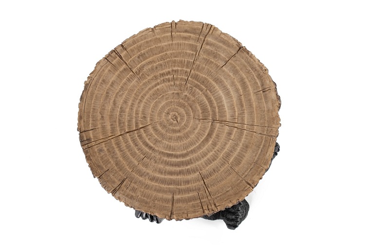 Stolik BEAR Czarny/Drewniany