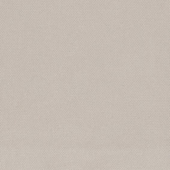 Tkanina LINO 23 Beżowy (1 mb)