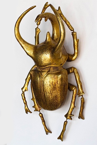 Dekoracja Ścienna Atlas Beetle 15x26x33 Złoty