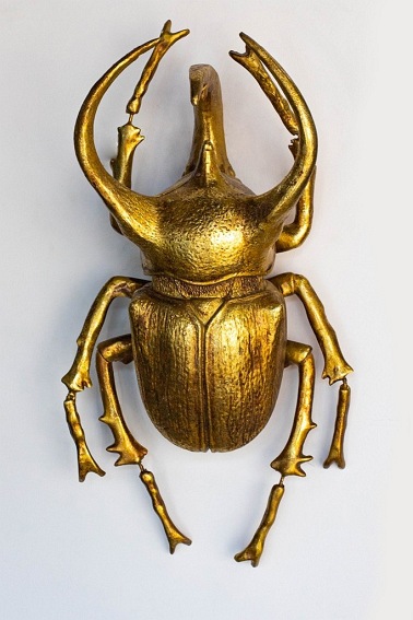 Dekoracja Ścienna Atlas Beetle 15x26x33 Złoty