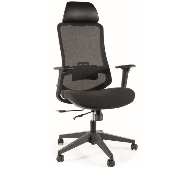 Fotel Obrotowy ERGON Czarny