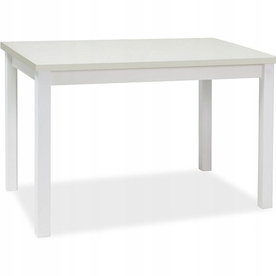 Stół ADAM 100x60 Biały Mat