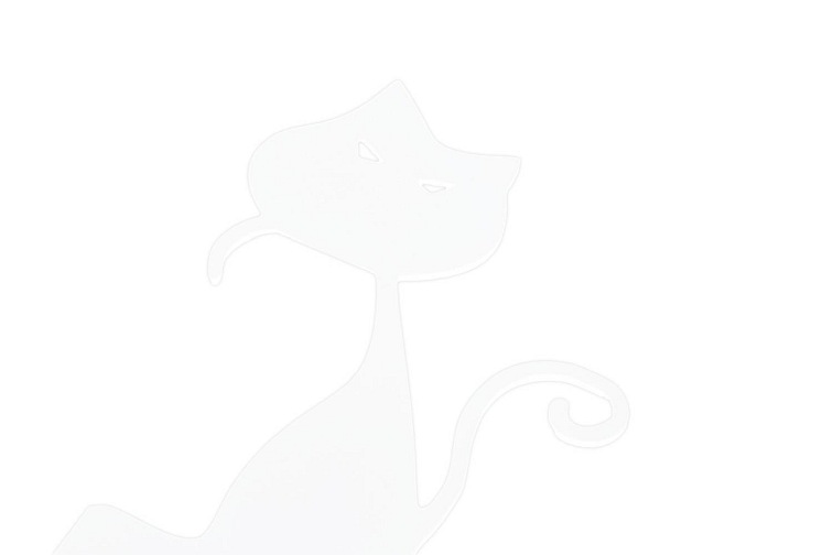 Wieszak Ścienny Koty 4x42x35 Biały