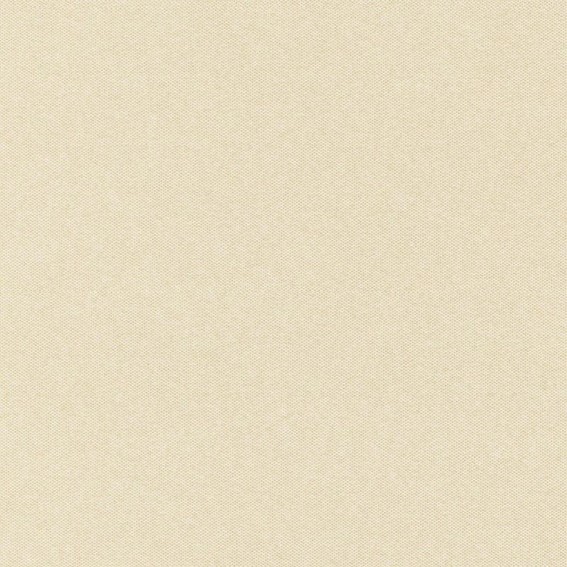 Tkanina NIGHTFALL SUNDOWN 09 Beżowy (mb)