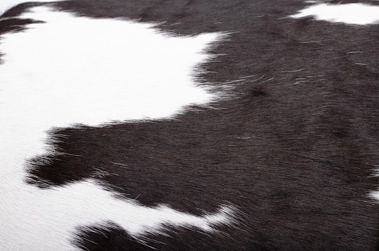 Leżanka DIVANO PONY Brązowo Biała Skóra Naturalna