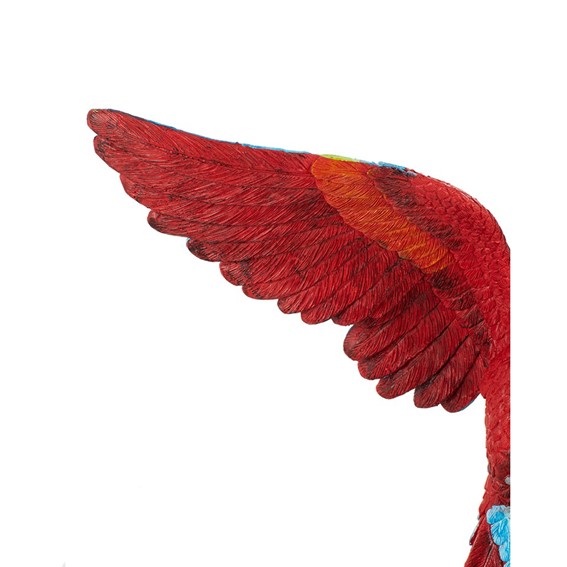 Dekoracja PAPUGA ROZŁOŻONE SKRZYDŁA 52x61cm Czerwony/Niebieski
