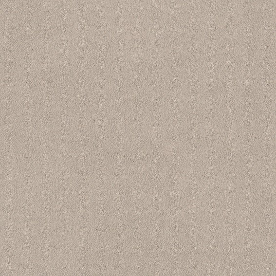 Tkanina HOGAN 25 Jasny Beżowy (1 mb)