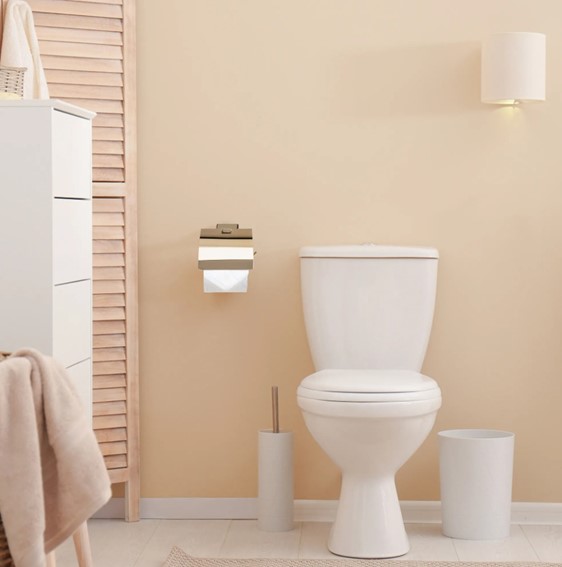 Wieszak na Papier Toaletowy OSTE 05 Złoty