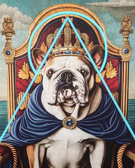 Obraz NEON BULLDOG 80x100cm