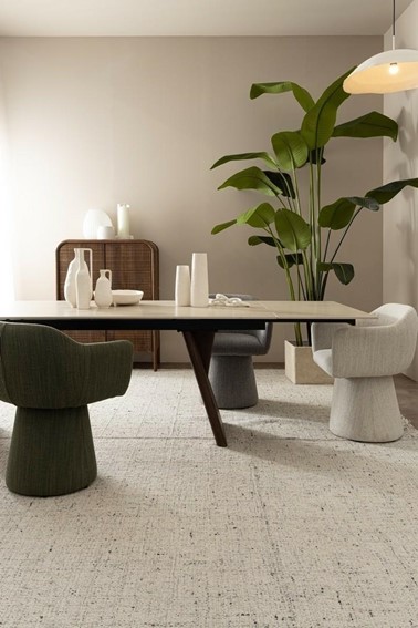 Roślina Dekoracyjna STRELICJA Zielony