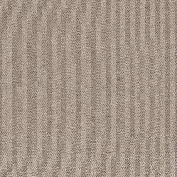 Tkanina LINO 25 Beżowy (1 mb)