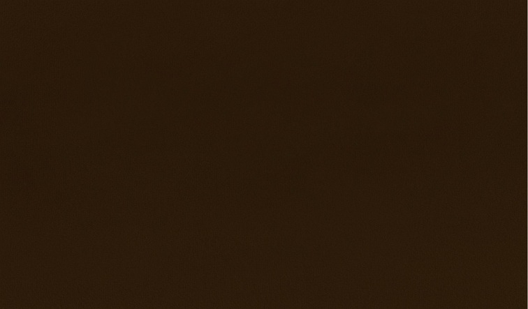 Tkanina Charles Autumn 15 Brązowy