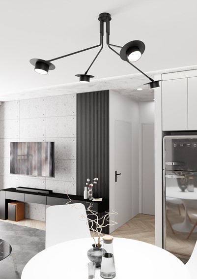 Lampa Sufitowa MIZU 4 Czarny