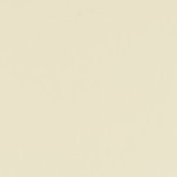 Tkanina BASIC SCHINO 01 Beżowy (mb)